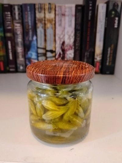Schraubglas mit eingelegten Bärlauchknospen