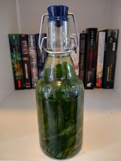 Bügelflasche mit Bärlauch und Öl