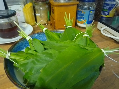 mehrere Bärlauchblätter die am Stängel zusammen gebunden wurden und in einer Schüssel liegen