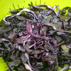 Klein geschnittener Rotkohl, gesalzen, in einem Sieb