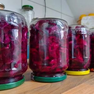Vier verschlossene Schraubgläser gefüllt mit Rotkohl und Sud, welche nun auf dem Kopfstehen