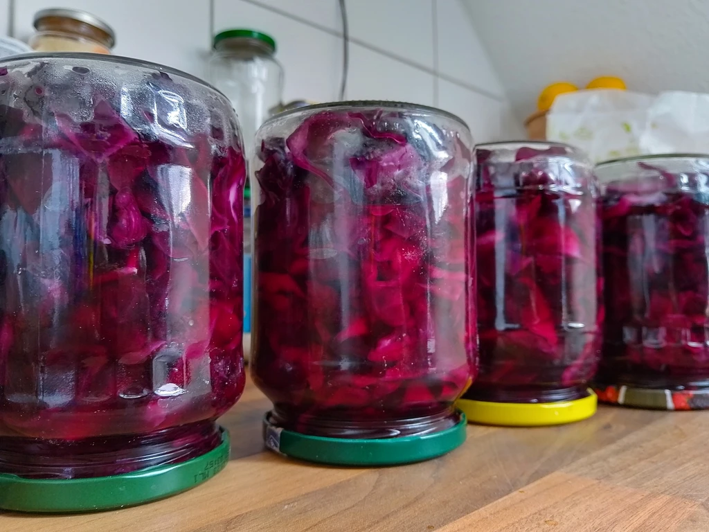 Rotkohl einlegen